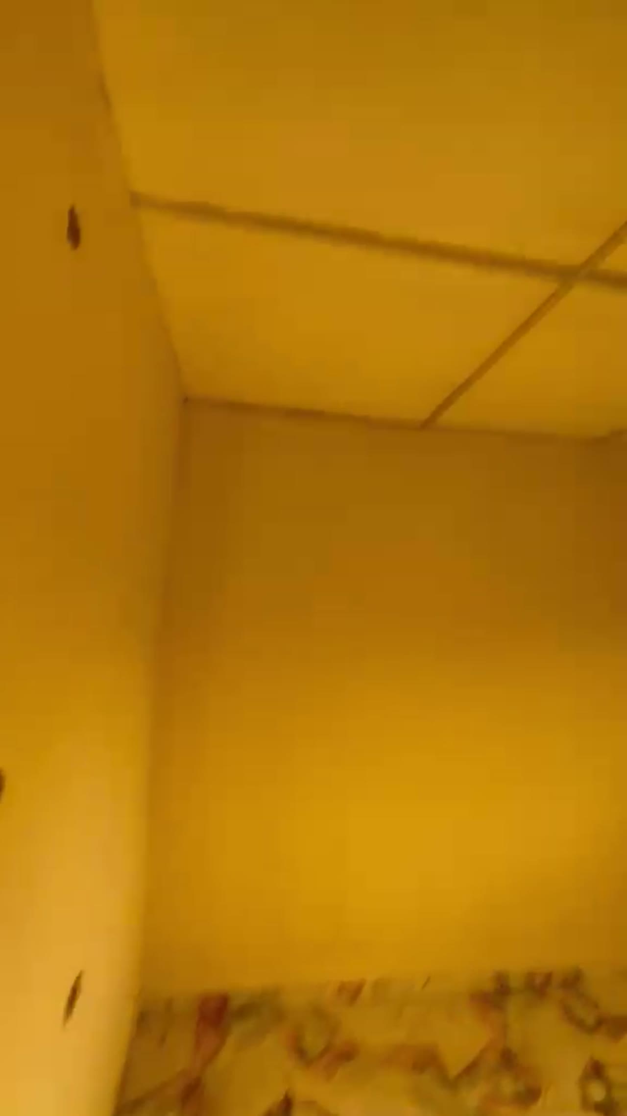 Still from the walkthrough video